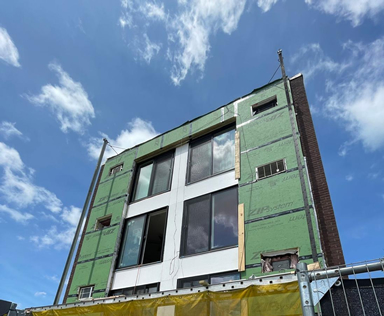 Siding & Windows